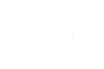 AIG